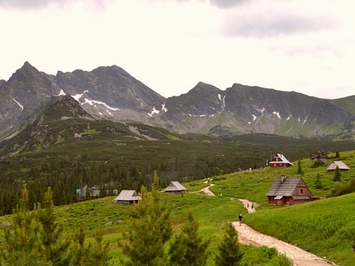 hala gąsienicowa